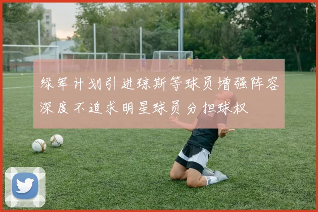 绿军计划引进琼斯等球员增强阵容深度不追求明星球员分担球权